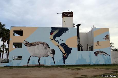 Gran viaje de primavera 2023 (1° parte)