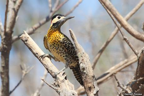 Gran viaje de primavera 2023 (1° parte)