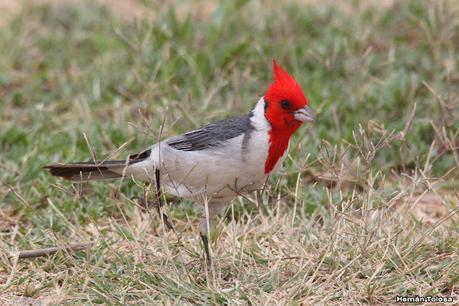 Gran viaje de primavera 2023 (1° parte)