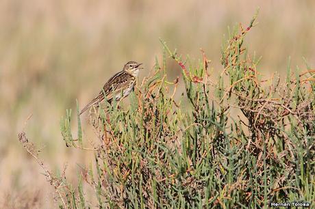 Gran viaje de primavera 2023 (1° parte)