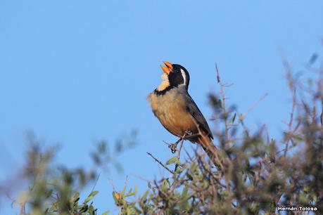 Gran viaje de primavera 2023 (1° parte)