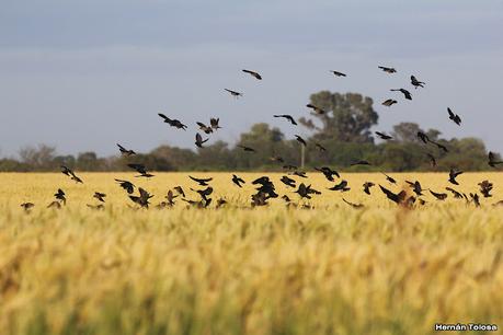 Gran viaje de primavera 2023 (1° parte)