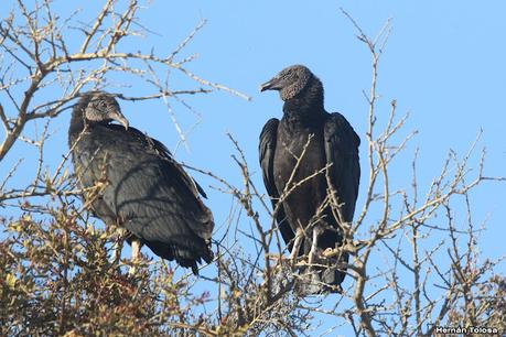 Gran viaje de primavera 2023 (1° parte)