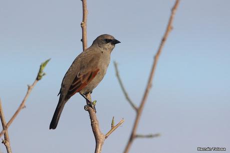 Gran viaje de primavera 2023 (1° parte)