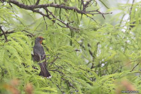Gran viaje de primavera 2023 (1° parte)