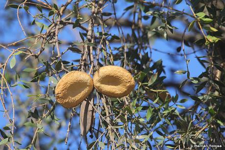 Gran viaje de primavera 2023 (1° parte)