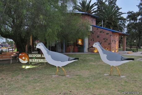 Gran viaje de primavera 2023 (1° parte)