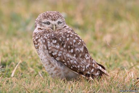 Gran viaje de primavera 2023 (1° parte)