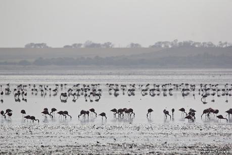 Gran viaje de primavera 2023 (1° parte)