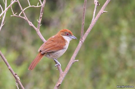 Gran viaje de primavera 2023 (1° parte)
