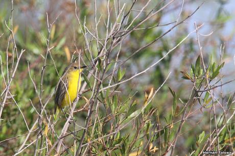 Gran viaje de primavera 2023 (1° parte)