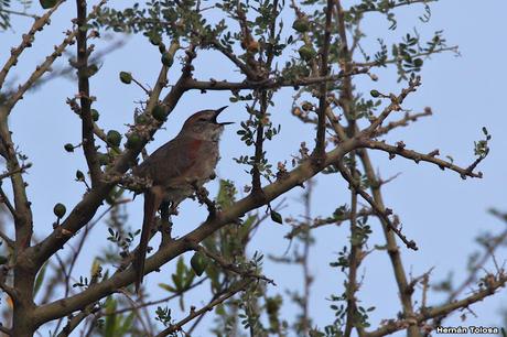 Gran viaje de primavera 2023 (1° parte)