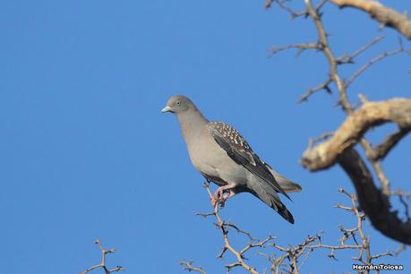 Gran viaje de primavera 2023 (1° parte)