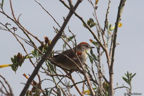 Gran viaje de primavera 2023 (1° parte)