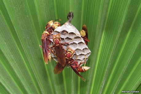 Gran viaje de primavera 2023 (1° parte)