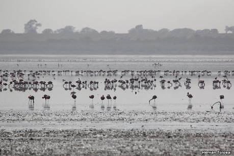 Gran viaje de primavera 2023 (1° parte)