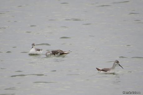 Gran viaje de primavera 2023 (1° parte)