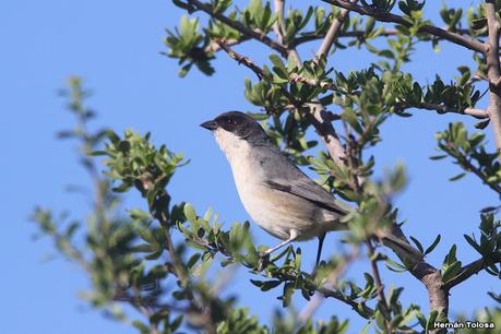 Gran viaje de primavera 2023 (1° parte)