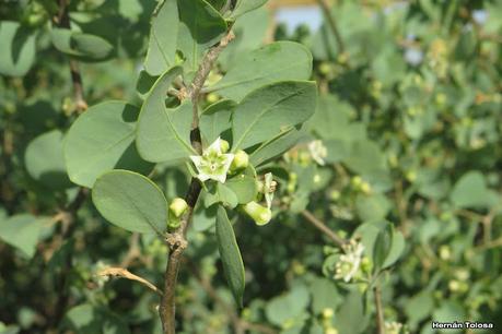 Gran viaje de primavera 2023 (1° parte)