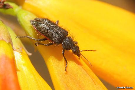 Gran viaje de primavera 2023 (1° parte)