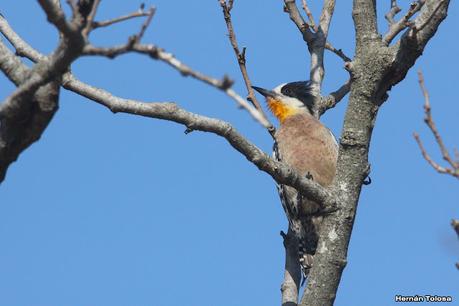 Gran viaje de primavera 2023 (1° parte)