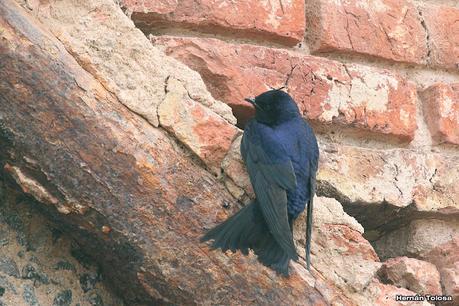 Gran viaje de primavera 2023 (1° parte)