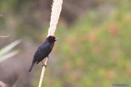 Gran viaje de primavera 2023 (1° parte)