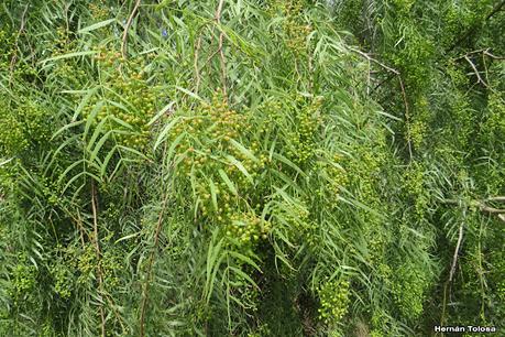 Gran viaje de primavera 2023 (1° parte)