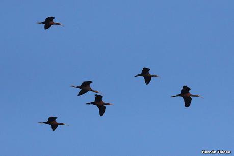 Gran viaje de primavera 2023 (1° parte)