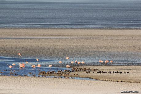 Gran viaje de primavera 2023 (1° parte)