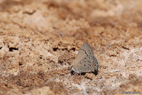 Gran viaje de primavera 2023 (1° parte)