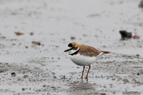 Gran viaje de primavera 2023 (1° parte)