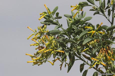 Gran viaje de primavera 2023 (1° parte)