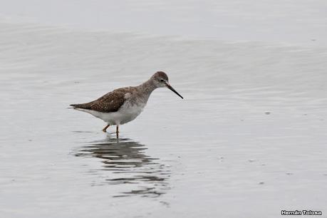 Gran viaje de primavera 2023 (1° parte)