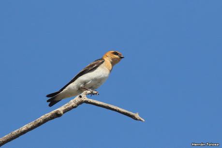 Gran viaje de primavera 2023 (1° parte)