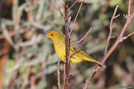 Gran viaje de primavera 2023 (1° parte)