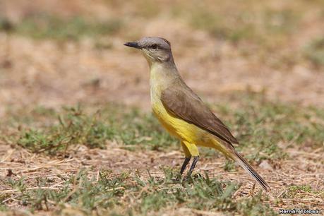 Gran viaje de primavera 2023 (1° parte)