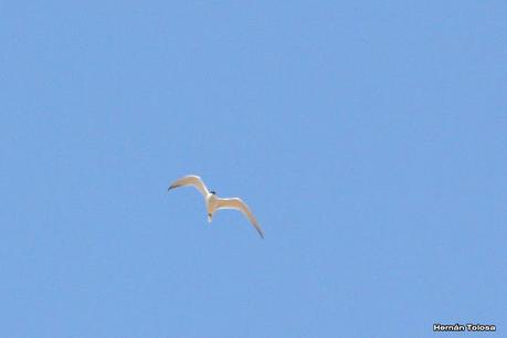 Gran viaje de primavera 2023 (1° parte)