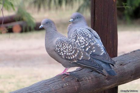 Gran viaje de primavera 2023 (1° parte)