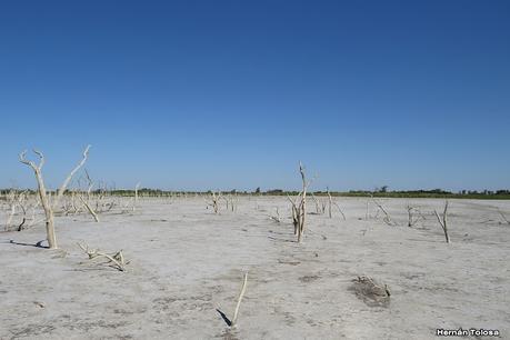 Gran viaje de primavera 2023 (1° parte)