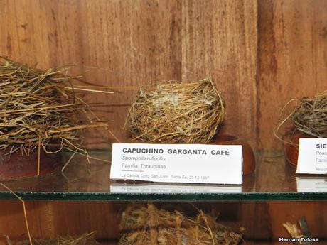 Gran viaje de primavera 2023 (1° parte)