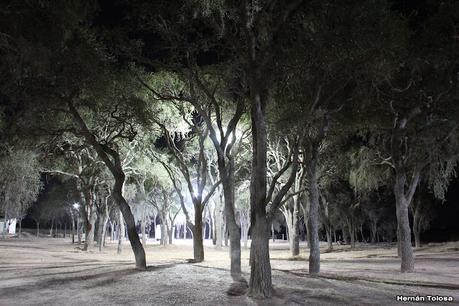 Gran viaje de primavera 2023 (1° parte)