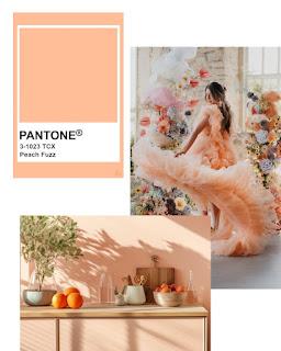 Peach Fuzz: el color durazno elegido por Pantone para el 2024