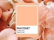 Peach Fuzz: color durazno elegido Pantone para 2024