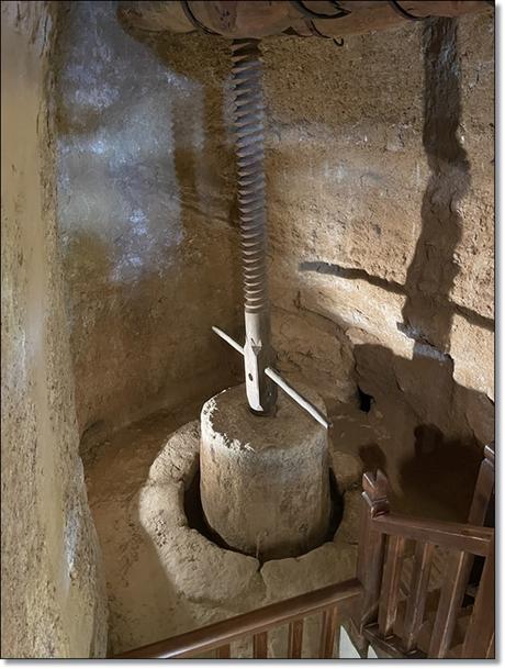 Un día en la bodega