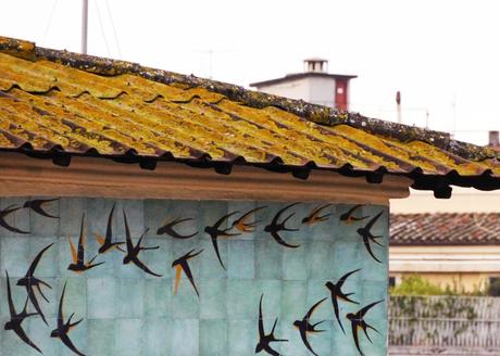 La gaviota. La gaviota.