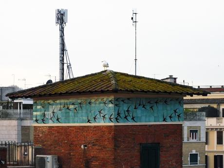 La gaviota. La gaviota.