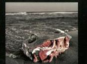 Arteria Cuatro Visiones (2010)