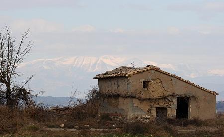 Control de especies, daños colaterales.