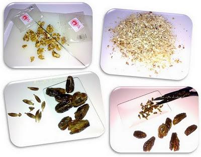 Galletas de nueces y dátiles con chocolate